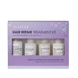 Hair repair treatment kit 
