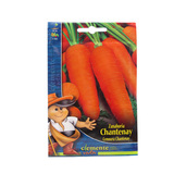 Semilla zanahoria chantenay 