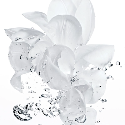 DIOR Dior hydra life<br> eau fraîche 2 en 1 hydratation rééquilibrante <br>175 ml 