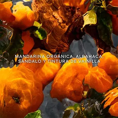 GUERLAIN Aqua allegoria mandarine basilic forte 