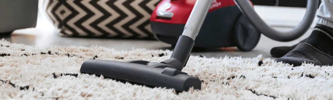 Limpiador de alfombras y tapicerías spray 300 ml · OMINO BIANCO