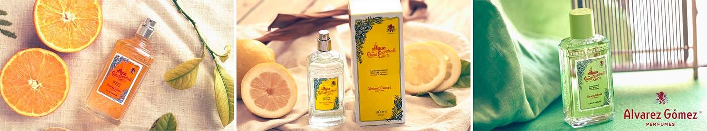 ALVAREZ GOMEZ