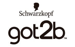 logo-GOT2B