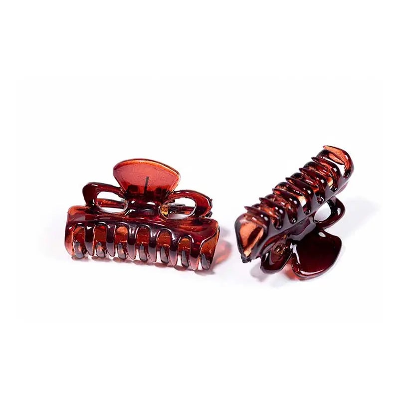 Pinza Marrón Concha Francesa De 3 Cm 2 Un