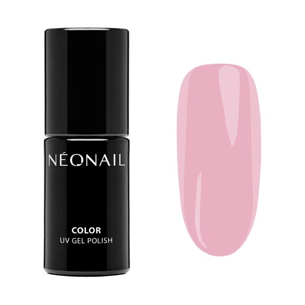 SPRING COLLECTION BRAVE