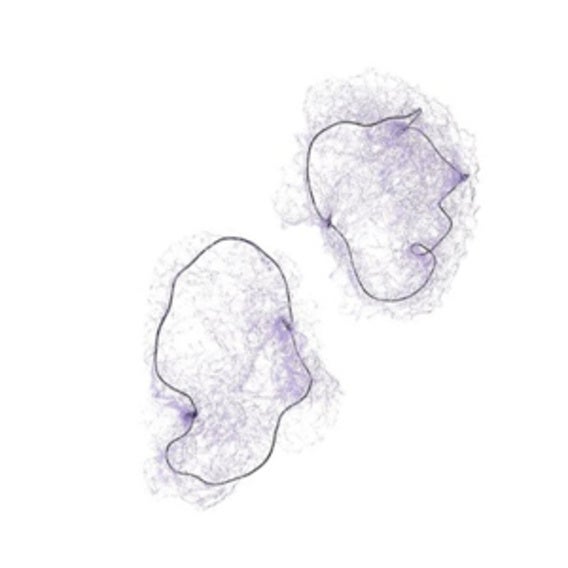 Redecilla Cabello Invisible