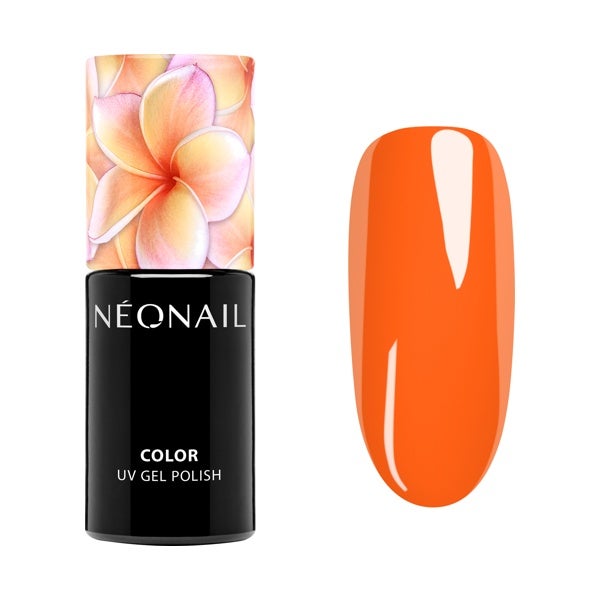 Esmalte Semipermanente