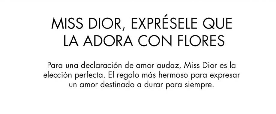 landing-dior-dia-madre-miss-26-mb