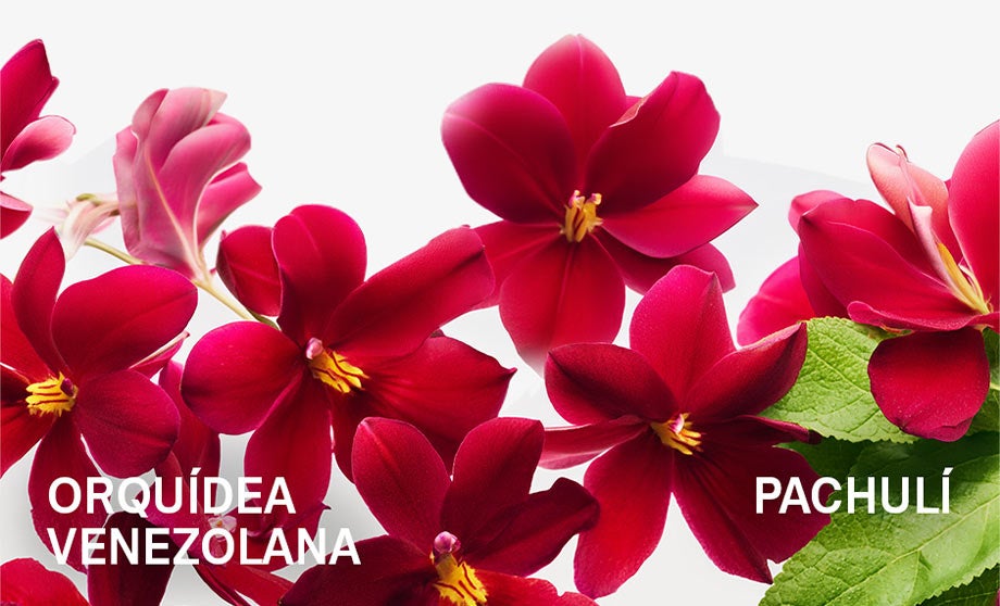 mb-espacio-marca-carolina-herrera-bomba-flor-set26