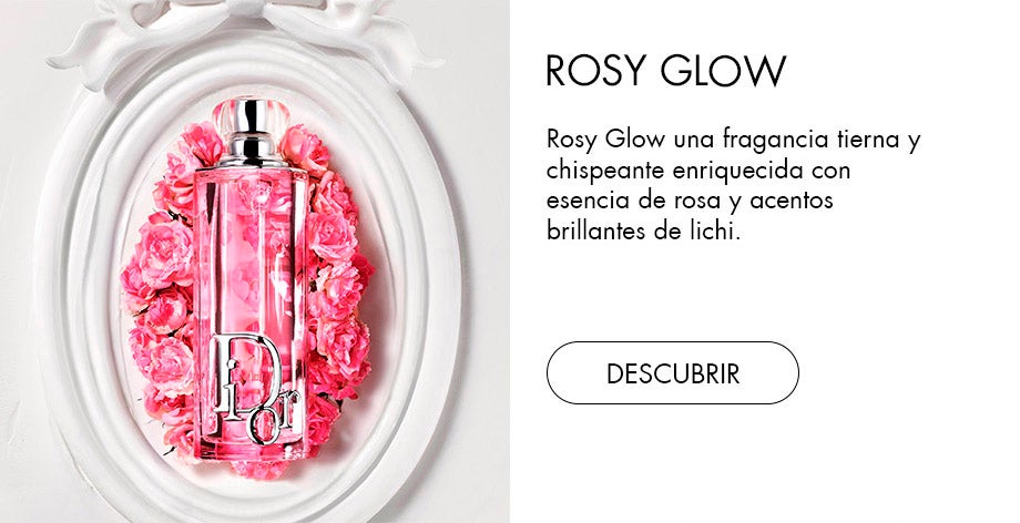 mb-landing-dior-logo-addict-rosy