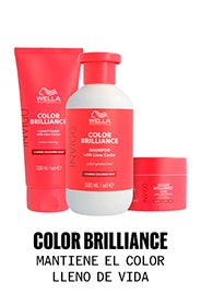 mb-espacio-marca-wella-color