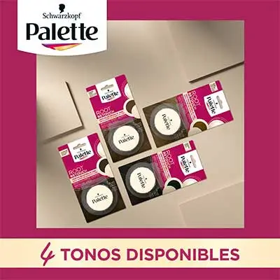 PALETTE COMPACT RETOCA RAICES CAST CL