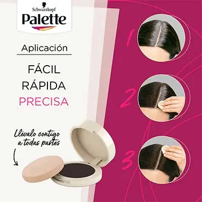 PALETTE COMPACT RETOCA RAICES NEGRO 3