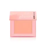 Pure mineral compact blush 