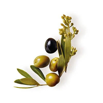 GARNIER Original remedies acondicionador oliva mítica 250 ml 