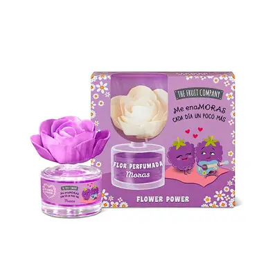 THE FRUIT COMPANY AMBIENT FLOR MORA 60ML