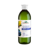 Gel baño antioxidante arandanos argan 600 ml 