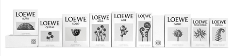 loewecabecera.jpg loewecabecera.jpg