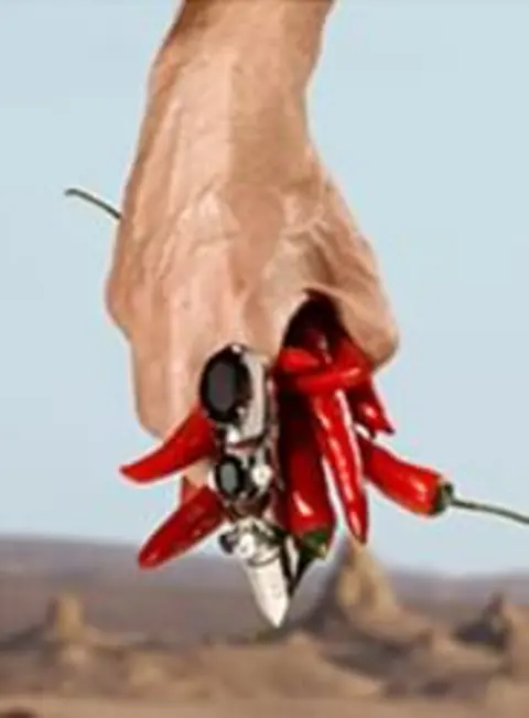 dg dg